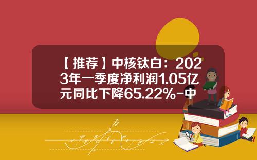 【推荐】中核钛白：2023年一季度净利润1.05亿元同比下降65.22%-中核华原钛白有限公司