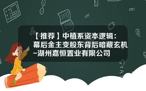 【推荐】中植系资本逻辑：幕后金主变股东背后暗藏玄机-湖州嘉恒置业有限公司