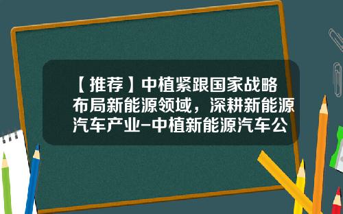 【推荐】中植紧跟国家战略布局新能源领域，深耕新能源汽车产业-中植新能源汽车公司