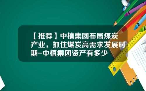 【推荐】中植集团布局煤炭产业，抓住煤炭高需求发展时期-中植集团资产有多少
