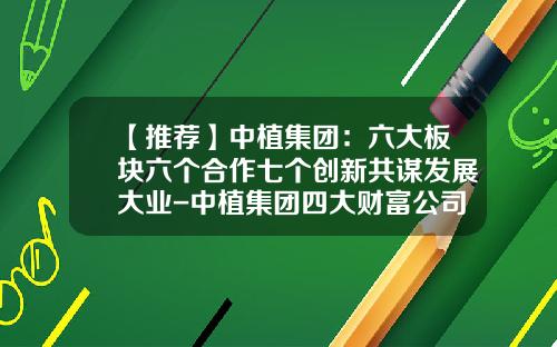 【推荐】中植集团：六大板块六个合作七个创新共谋发展大业-中植集团四大财富公司