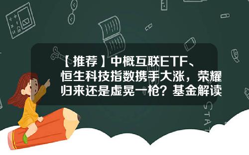 【推荐】中概互联ETF、恒生科技指数携手大涨，荣耀归来还是虚晃一枪？基金解读来了-互联网基金