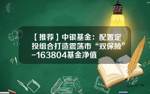 【推荐】中银基金：配置定投组合打造震荡市“双保险”-163804基金净值