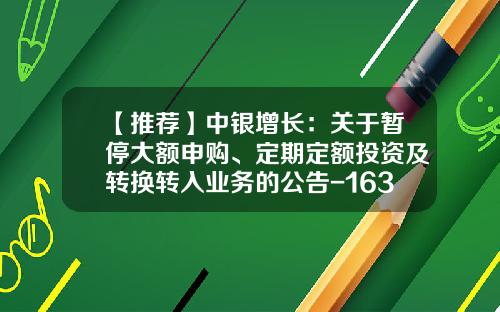 【推荐】中银增长：关于暂停大额申购、定期定额投资及转换转入业务的公告-163803基金