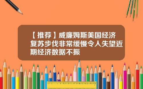 【推荐】威廉姆斯美国经济复苏步伐非常缓慢令人失望近期经济数据不振