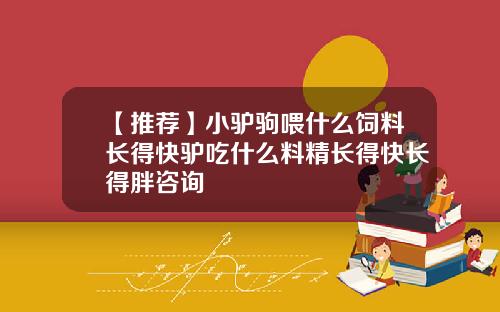 【推荐】小驴驹喂什么饲料长得快驴吃什么料精长得快长得胖咨询