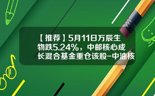【推荐】5月11日万辰生物跌5.24%，中邮核心成长混合基金重仓该股-中油核心成长基金净值