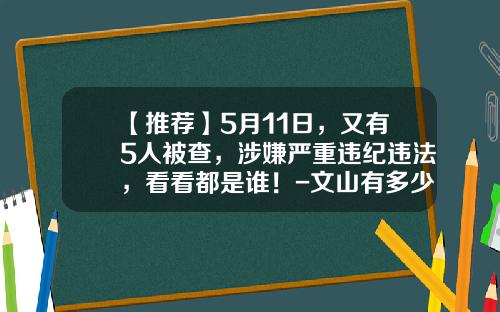 【推荐】5月11日，又有5人被查，涉嫌严重违纪违法，看看都是谁！-文山有多少官员被查