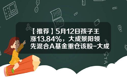 【推荐】5月12日孩子王涨13.84%，大成景阳领先混合A基金重仓该股-大成景阳基金今日净值