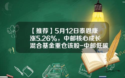 【推荐】5月12日泰恩康涨5.26%，中邮核心成长混合基金重仓该股-中邮低碳混合基金