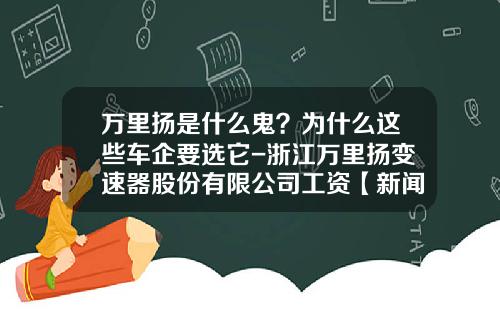 万里扬是什么鬼？为什么这些车企要选它-浙江万里扬变速器股份有限公司工资【新闻】.