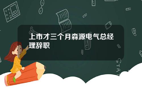 上市才三个月森源电气总经理辞职 上市才三个月森源电气总经理辞职