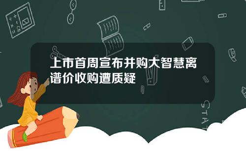 上市首周宣布并购大智慧离谱价收购遭质疑
