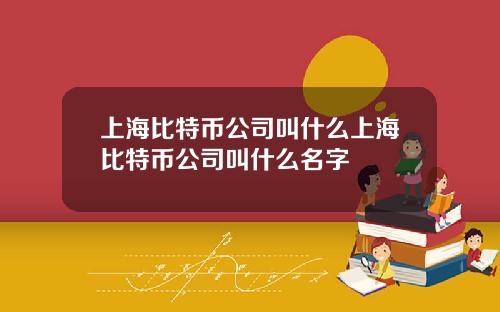 上海比特币公司叫什么上海比特币公司叫什么名字