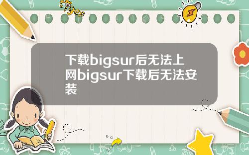 下载bigsur后无法上网bigsur下载后无法安装