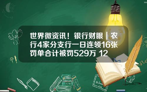 世界微资讯！银行财眼｜农行4家分支行一日连领16张罚单合计被罚529万 12责任人被罚_1