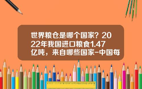 世界粮仓是哪个国家？2022年我国进口粮食1.47亿吨，来自哪些国家-中国每年要进口多少粮食