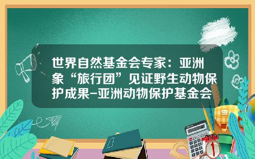 世界自然基金会专家：亚洲象“旅行团”见证野生动物保护成果-亚洲动物保护基金会