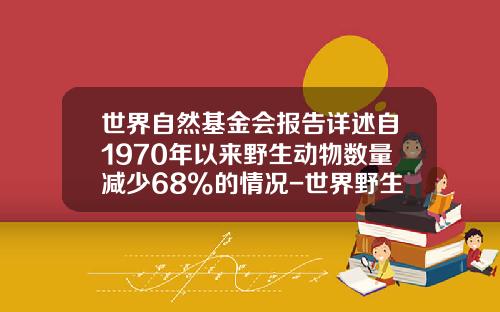 世界自然基金会报告详述自1970年以来野生动物数量减少68%的情况-世界野生生物基金会