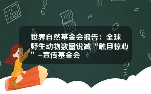 世界自然基金会报告：全球野生动物数量锐减“触目惊心”-宣传基金会