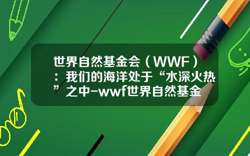 世界自然基金会（WWF）：我们的海洋处于“水深火热”之中-wwf世界自然基金会