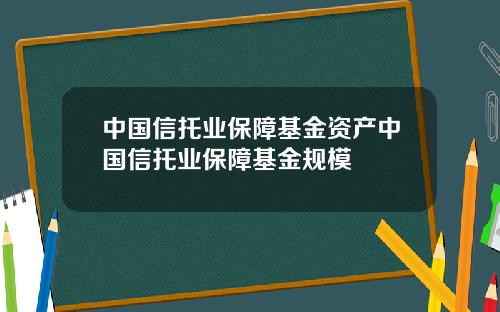 中国信托业保障基金资产中国信托业保障基金规模