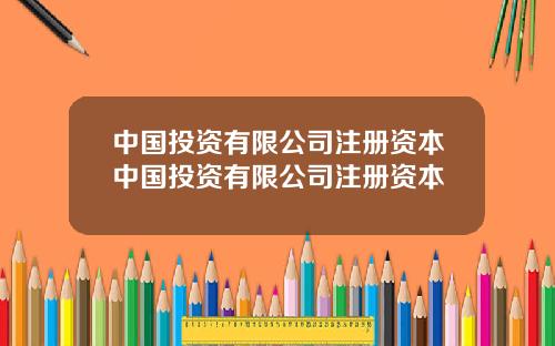 中国投资有限公司注册资本中国投资有限公司注册资本
