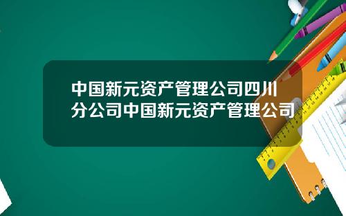 中国新元资产管理公司四川分公司中国新元资产管理公司