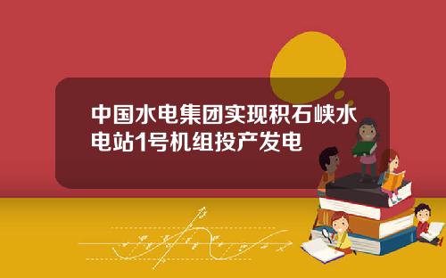 中国水电集团实现积石峡水电站1号机组投产发电
