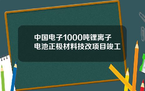 中国电子1000吨锂离子电池正极材料技改项目竣工