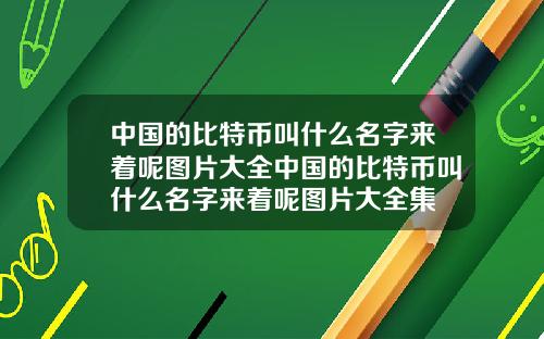 中国的比特币叫什么名字来着呢图片大全中国的比特币叫什么名字来着呢图片大全集