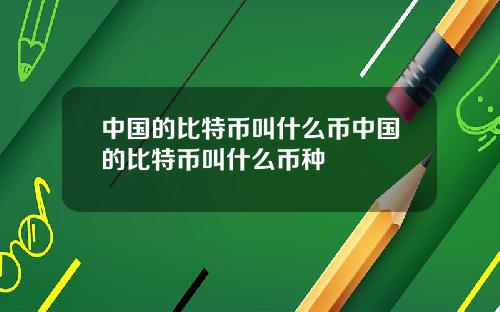 中国的比特币叫什么币中国的比特币叫什么币种