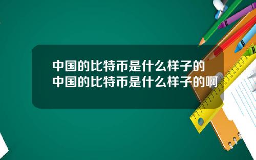 中国的比特币是什么样子的中国的比特币是什么样子的啊