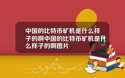 中国的比特币矿机是什么样子的啊中国的比特币矿机是什么样子的啊图片