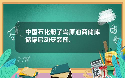中国石化册子岛原油商储库储罐启动安装图.