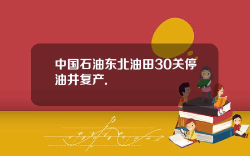 中国石油东北油田30关停油井复产.