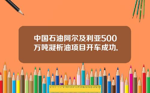 中国石油阿尔及利亚500万吨凝析油项目开车成功.