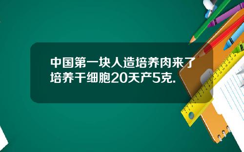 中国第一块人造培养肉来了培养干细胞20天产5克.