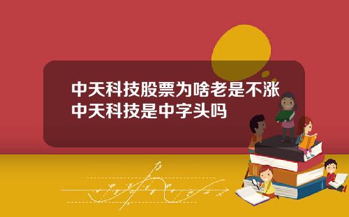 中天科技股票为啥老是不涨中天科技是中字头吗