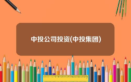 中投公司投资(中投集团)