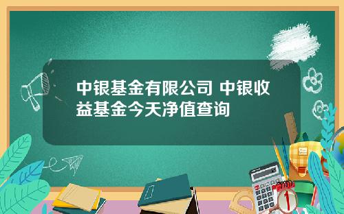 中银基金有限公司 中银收益基金今天净值查询