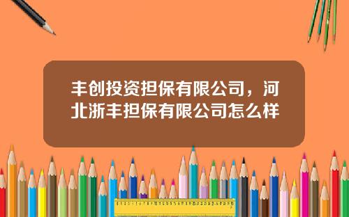 丰创投资担保有限公司，河北浙丰担保有限公司怎么样