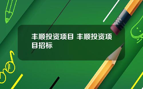 丰顺投资项目 丰顺投资项目招标