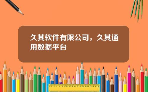 久其软件有限公司，久其通用数据平台