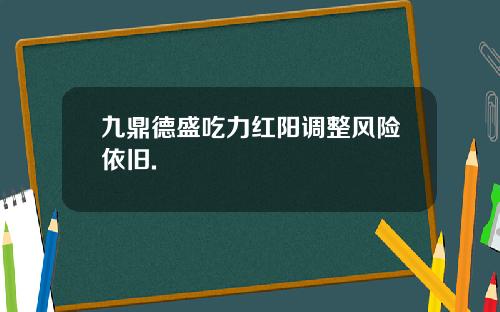 九鼎德盛吃力红阳调整风险依旧.