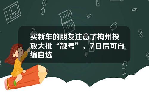 买新车的朋友注意了梅州投放大批“靓号”，7日后可自编自选