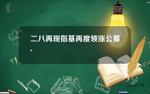 二八再现指基再度领涨公募.