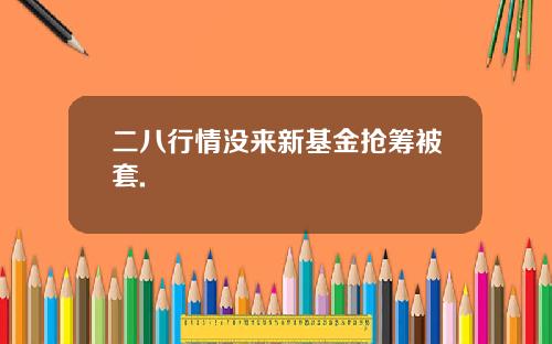 二八行情没来新基金抢筹被套.