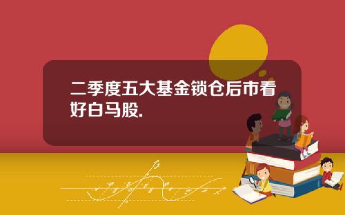 二季度五大基金锁仓后市看好白马股.