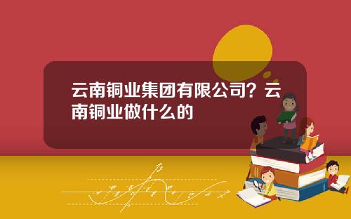 云南铜业集团有限公司？云南铜业做什么的